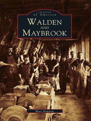 cover image of Walden and Maybrook